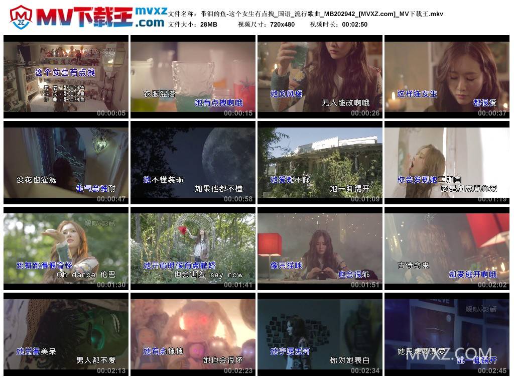 带泪的鱼-这个女生有点拽_国语_流行歌曲_MB202942